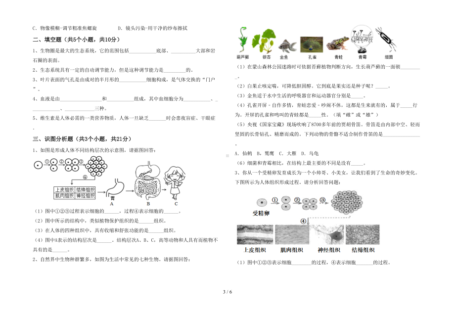 北师大版七年级生物(下册)期末试卷及答案(新版)(DOC 6页).doc_第3页