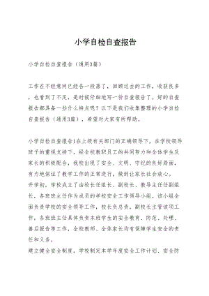 小学自检自查报告(DOC 10页).docx