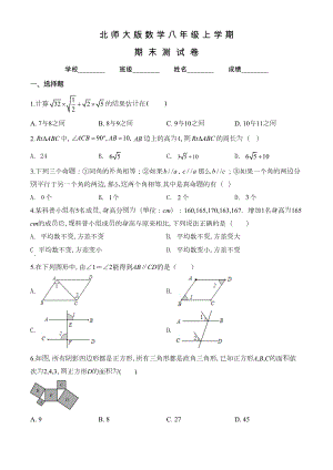 北师大版八年级上学期数学《期末测试题》附答案(DOC 30页).doc