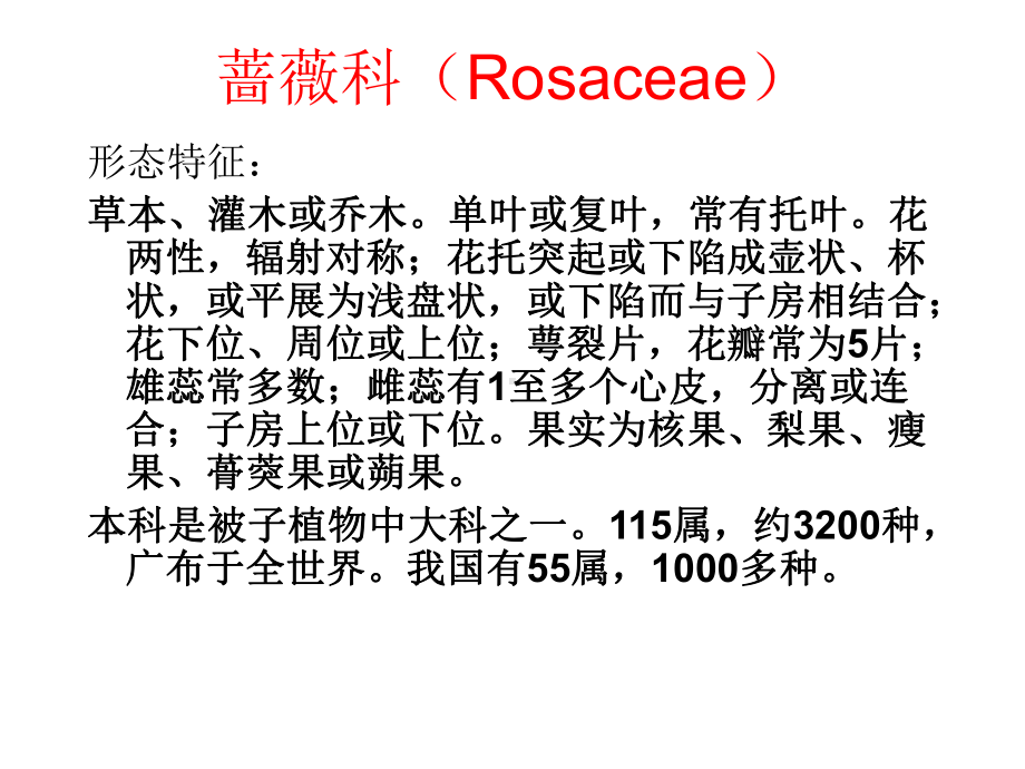 12-蔷薇科教学讲解课件.ppt_第1页