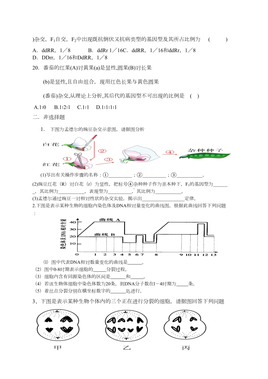 孟德尔遗传定律和减数分裂测试题(DOC 6页).doc_第3页