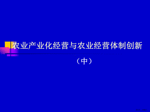 农业产业化经营与农业经营体制创新(中).pptx