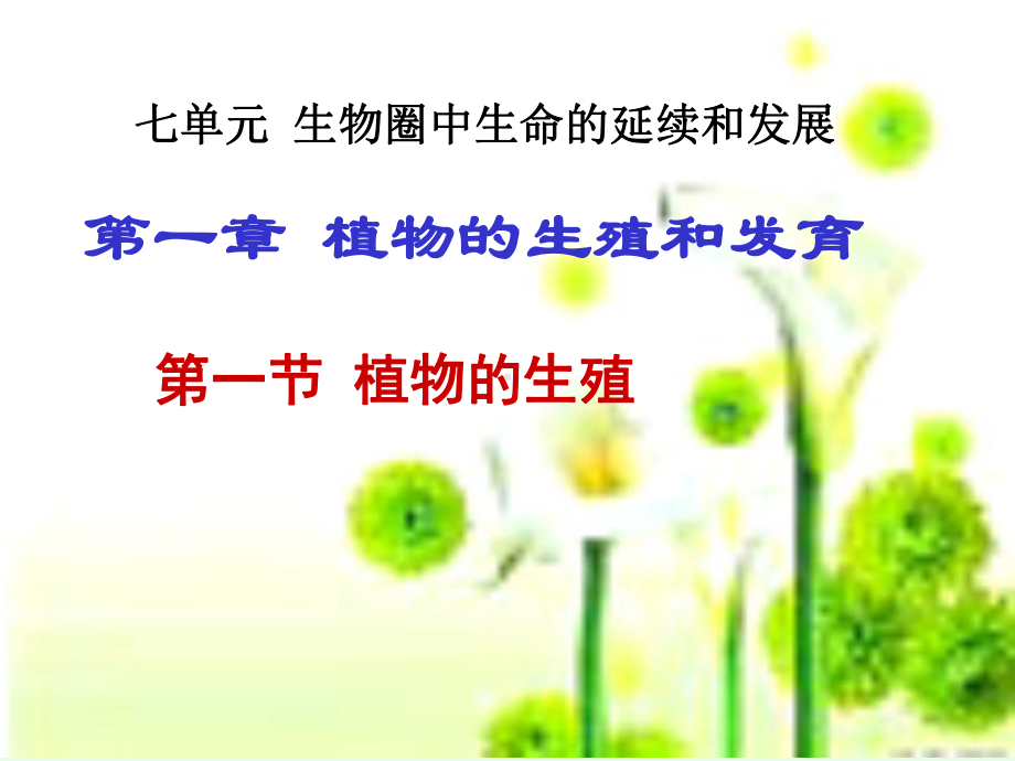 八年级生物-第一节-植物的生殖课件-新课标-人教版.ppt_第1页