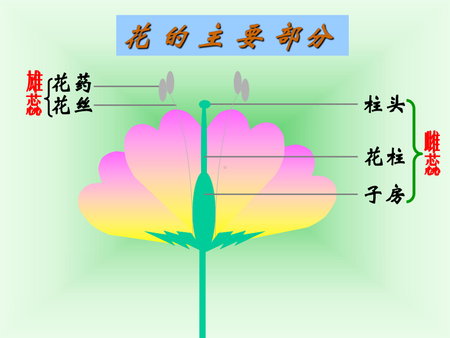 八年级生物-第一节-植物的生殖课件-新课标-人教版.ppt_第3页