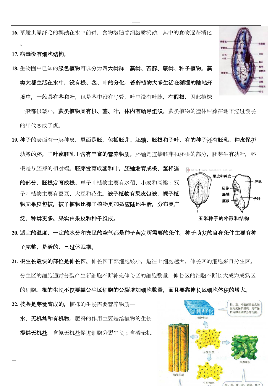 初中生物全册总复习资料(DOC 17页).doc_第3页