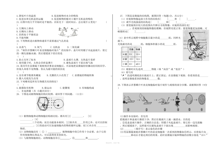 初一生物期中考试试题及答案(DOC 4页).doc_第2页