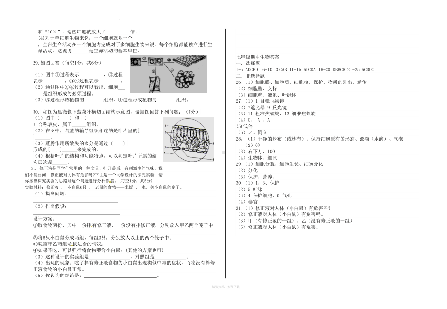 初一生物期中考试试题及答案(DOC 4页).doc_第3页