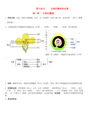 冀教版八下生物复习提纲汇总(DOC 8页).doc