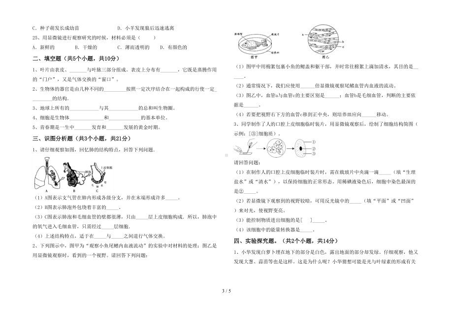 北师大版七年级生物下册期末试卷(必考题)(DOC 5页).doc_第3页