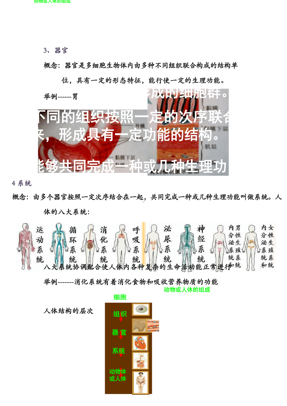 初二生命科学第一册知识点.docx_第2页