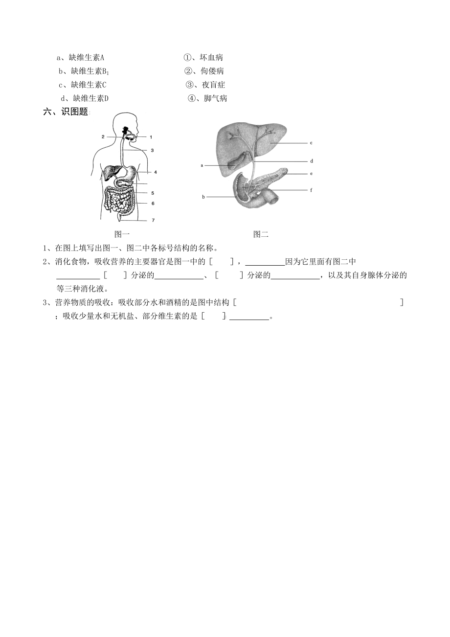 北师大版本七年级下北师大生物全套试题(DOC 24页).doc_第3页