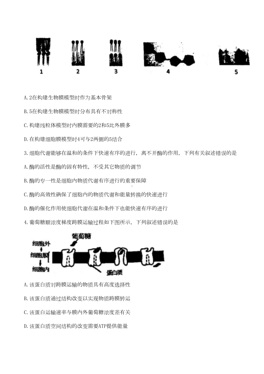 安徽省合肥市2021届高三生物上学期第一次教学质量检测试题(DOC 11页).doc_第2页