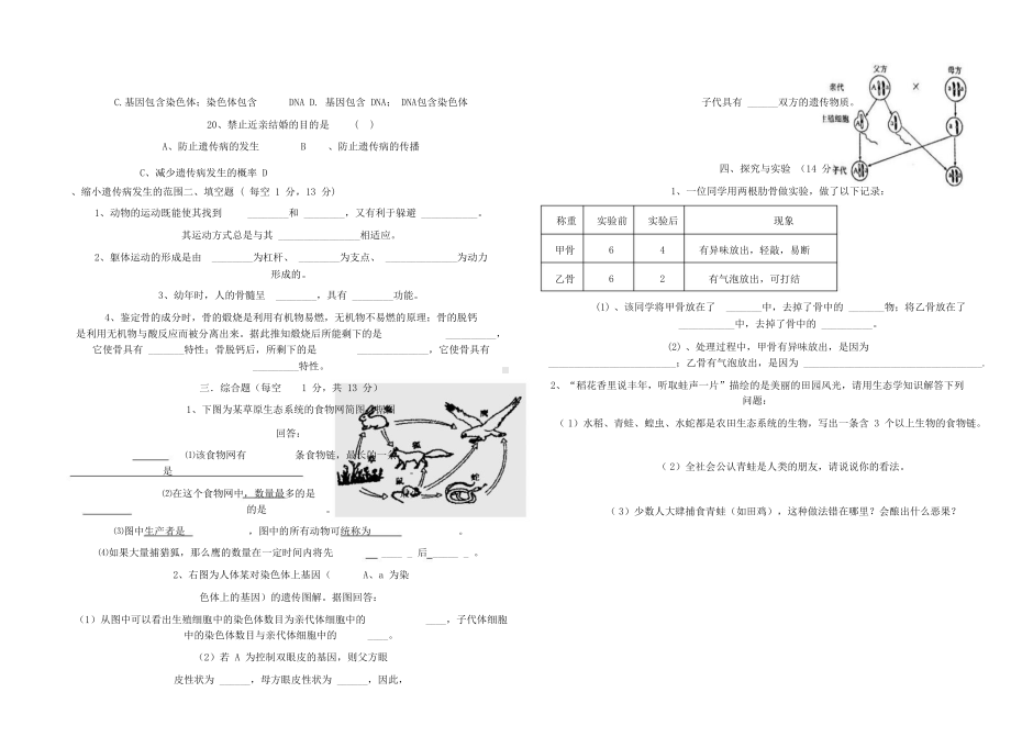 北师大版八年级生物上册期末试题(DOC 5页).docx_第2页