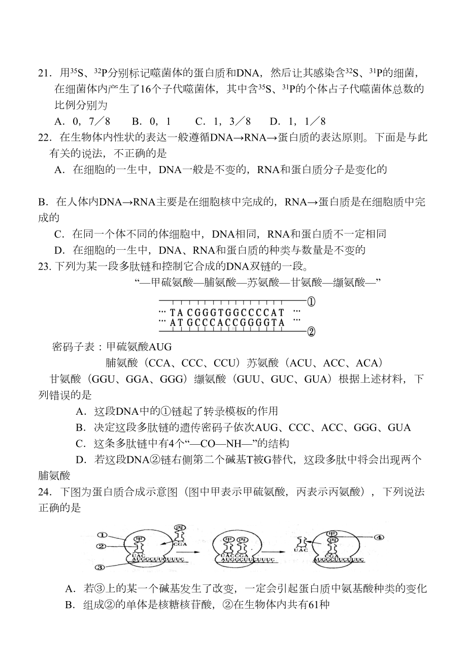 基因的本质和基因的表达综合测试题(DOC 8页).doc_第3页