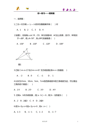 初一数学综合练习题及答案(提高篇)(DOC 10页).doc