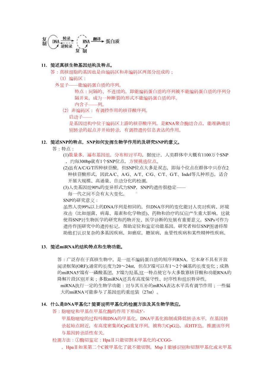 分子生物学简答题全剖析(DOC 11页).doc_第2页