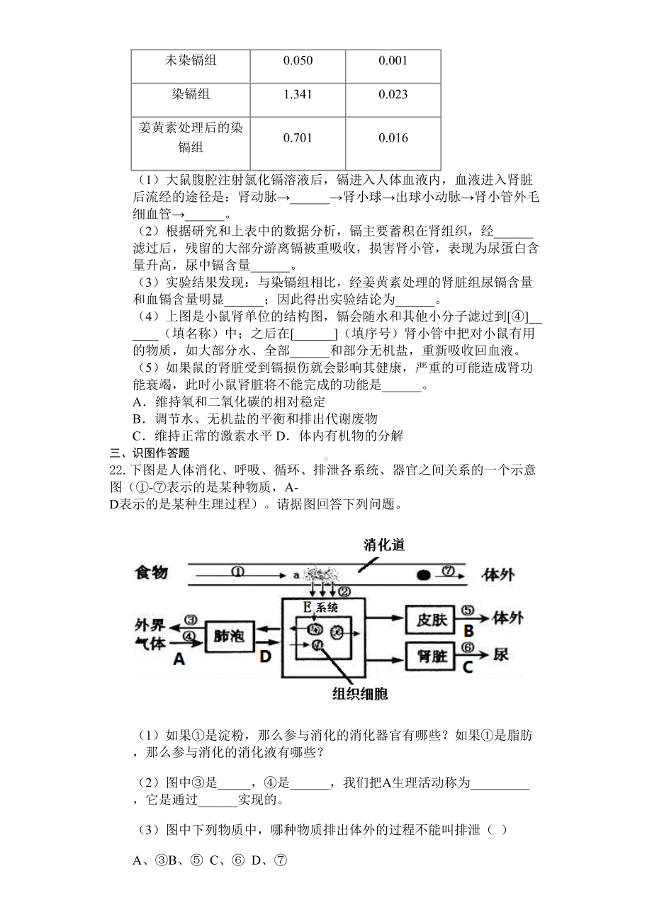 北师大版七年级生物下册第十一章人体代谢废物的排出测试试题(附答案)(DOC 6页).docx_第3页