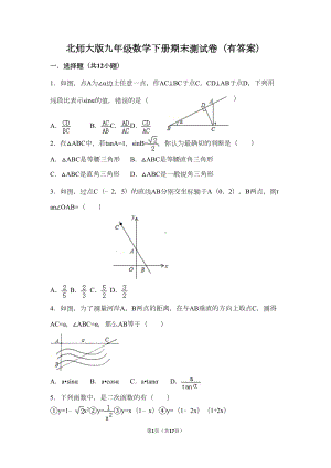 北师大版九年级数学下册期末测试卷(有答案)(DOC 15页).doc