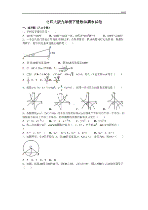 北师大版九年级下册数学期末试卷(DOC 28页).doc