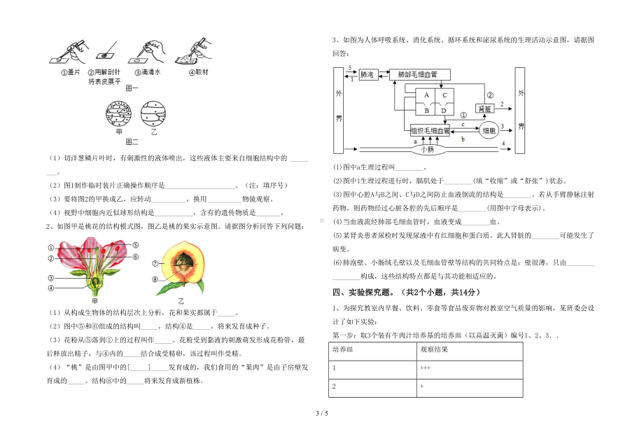 冀教版七年级生物下册期末试卷及答案(DOC 5页).doc_第3页