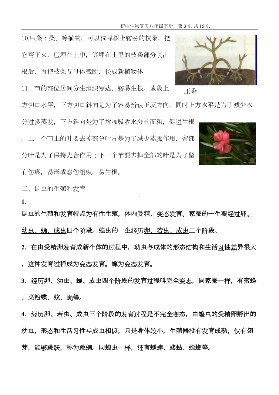 初三生物下册复习知识汇总(DOC 10页).doc_第3页