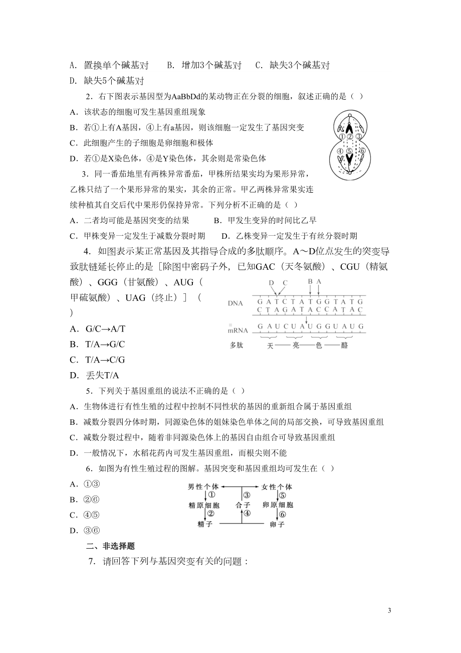 基因突变和基因重组测试题(DOC 8页).doc_第3页