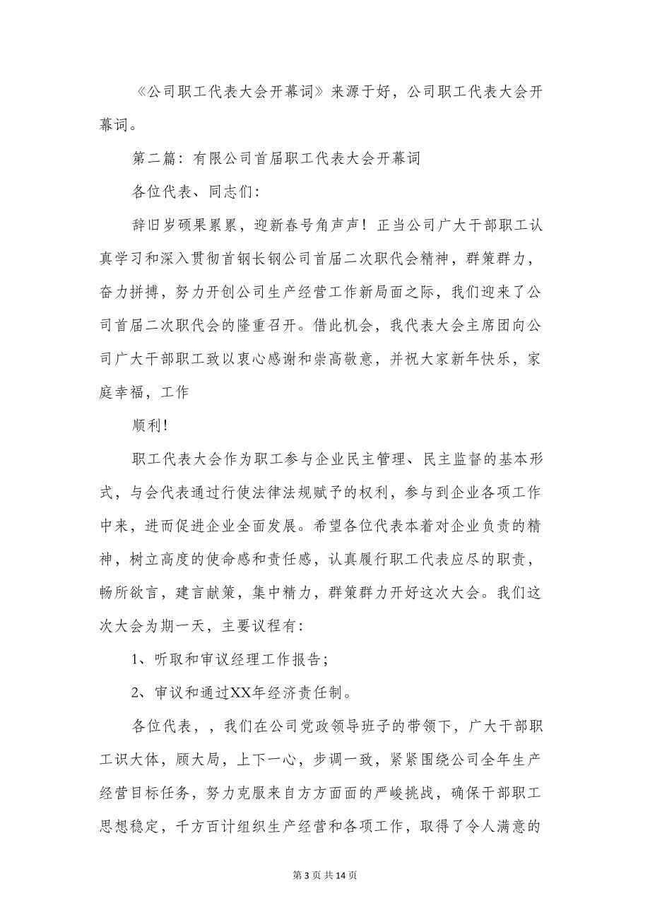 公司职工代表大会开幕词与公司职工大会发言稿汇编(DOC 13页).doc_第3页