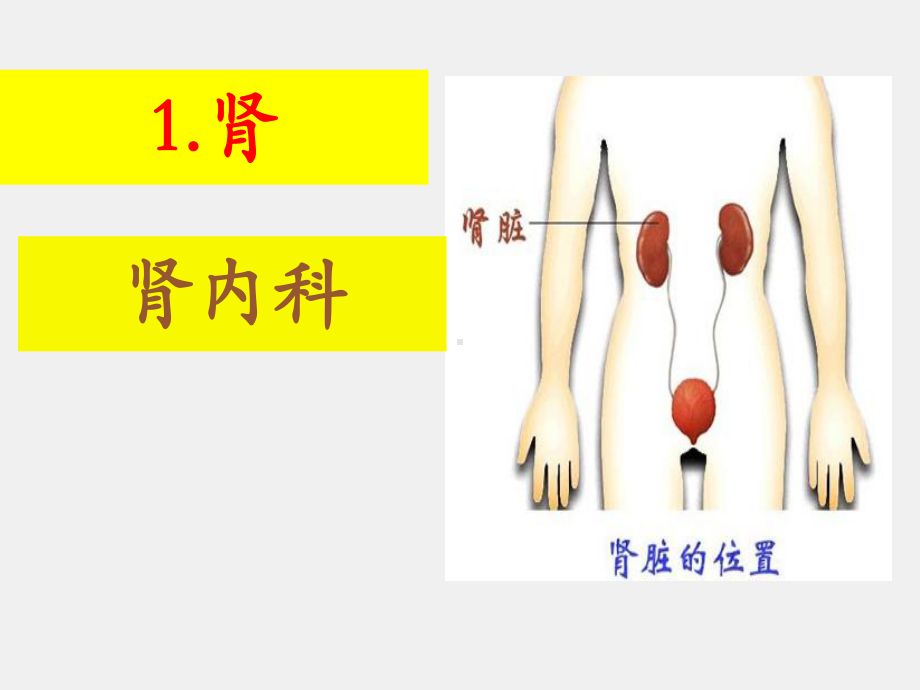 《医学汉语》课件第一册第十二课（慢性肾小球肾炎、肾功能不全）131105.pptx_第2页