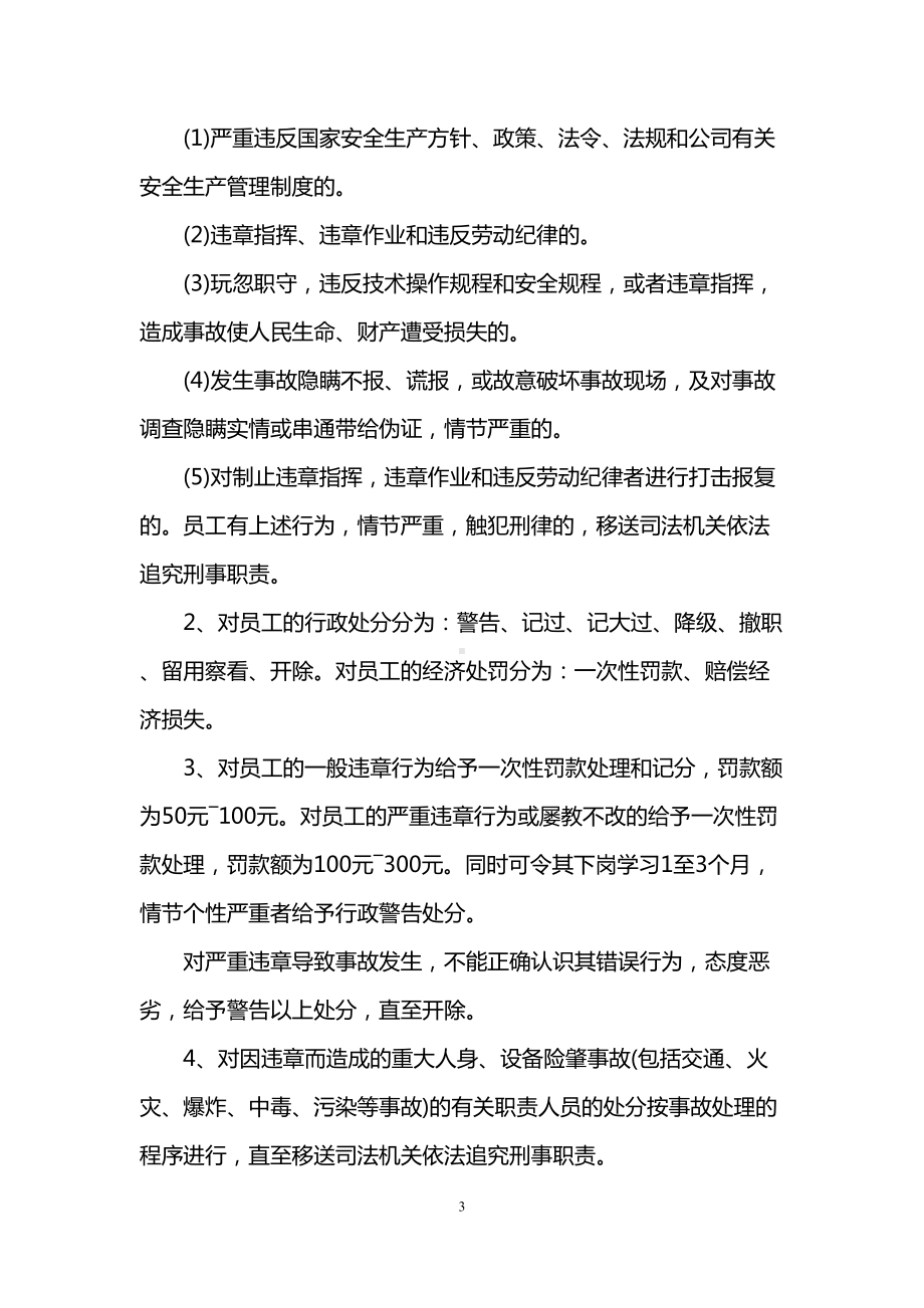 安全生产奖惩制度原则管理(DOC 11页).doc_第3页