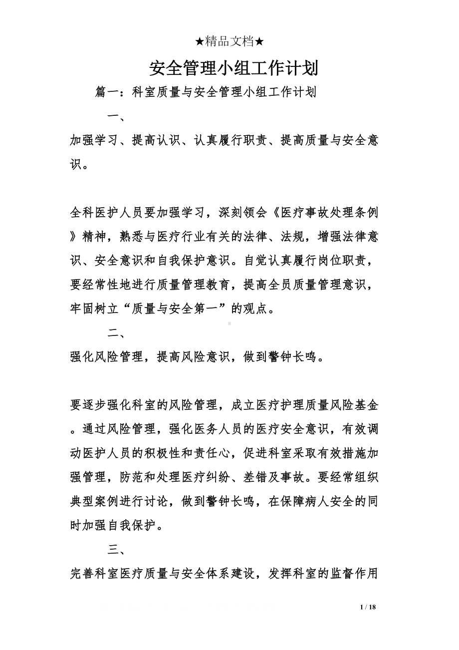 安全管理小组工作计划(DOC 18页).doc_第1页