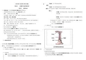 北师大版八年级生物上册知识点集锦终极版汇编(DOC 15页).doc