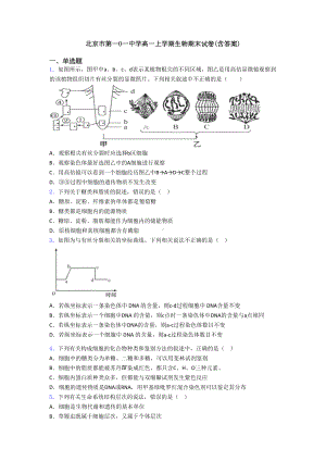 北京市某中学高一上学期生物期末试卷(含答案)(DOC 24页).doc