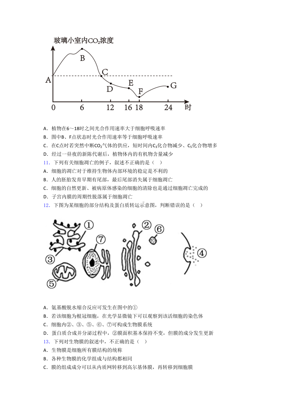 北京市某中学高一上学期生物期末试卷(含答案)(DOC 24页).doc_第3页