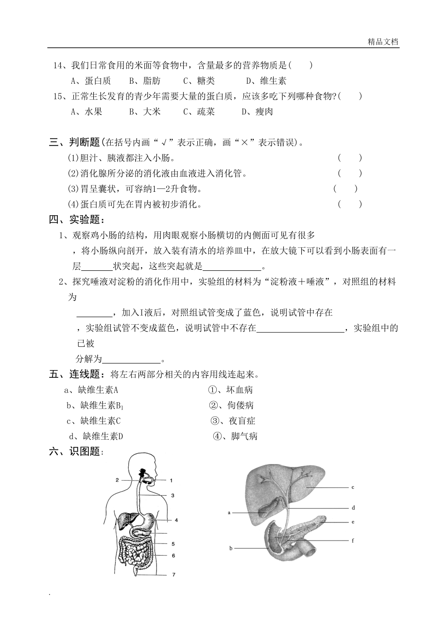 北师大版七年级下册生物全套试题(DOC 35页).doc_第3页