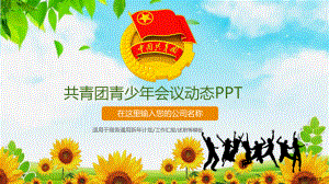 共青团青少年会员经典高端PPT课件模板.ppt