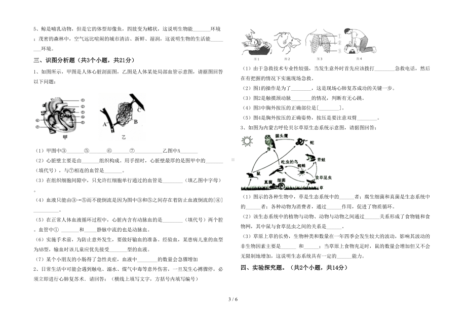 初中七年级生物下册期末考试题(完整版)(DOC 6页).doc_第3页