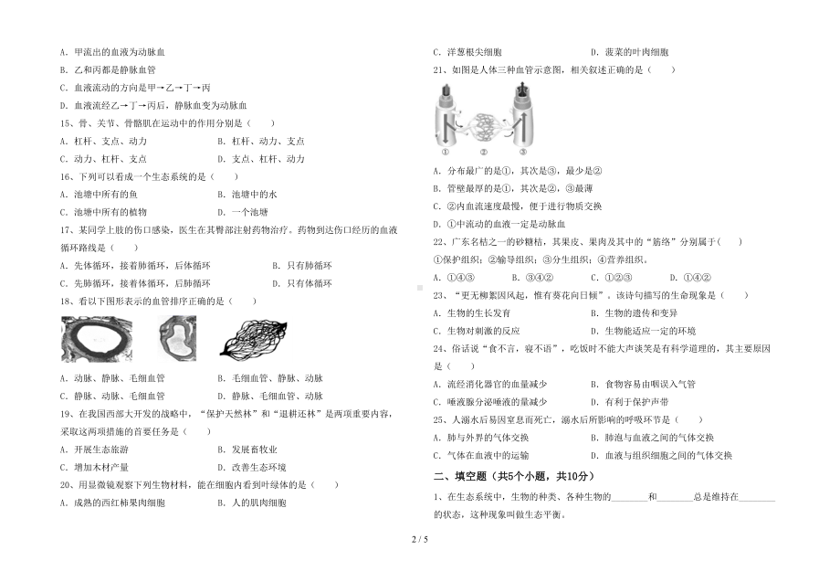 北师大版七年级生物下册期末考试卷(汇总)(DOC 5页).doc_第2页