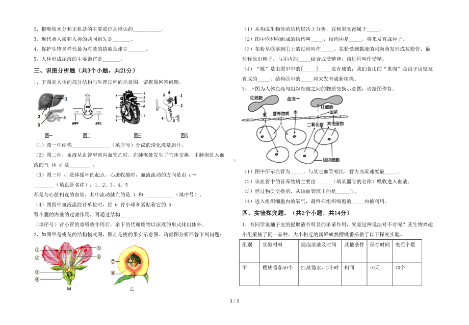 北师大版七年级生物下册期末考试卷(汇总)(DOC 5页).doc_第3页