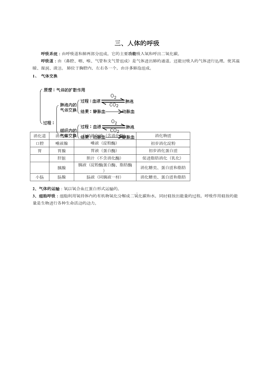 华师大初中生物复习要点word版本(DOC 9页).docx_第3页