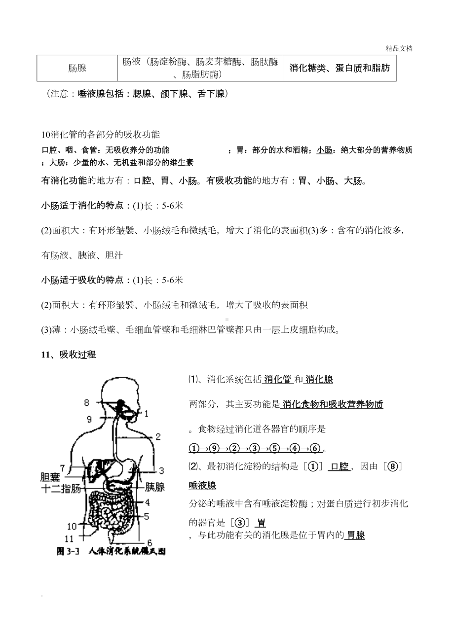 北师大版生物七年级下册知识点总结期末复习资料(DOC 20页).doc_第3页