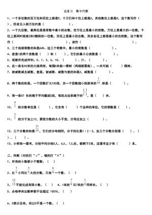 小学数学总复习数与代数练习题(DOC 4页).doc