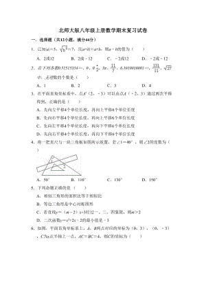 北师大版八年级上册数学期末复习试卷(有答案)(DOC 18页).doc