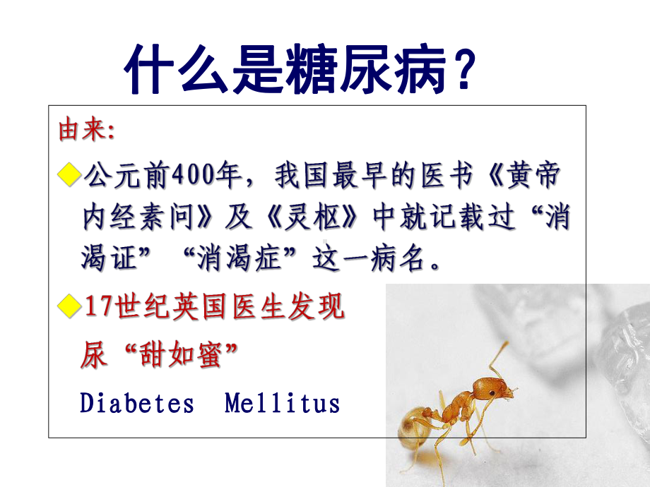 10糖尿病基础知识课件.ppt_第2页