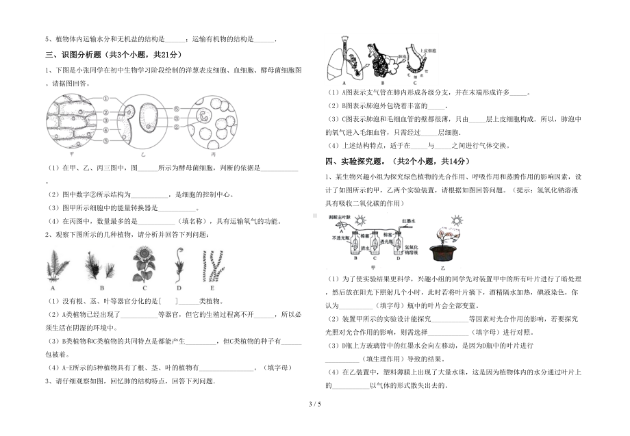 初中七年级生物下册期末测试卷（及答案）(DOC 5页).doc_第3页