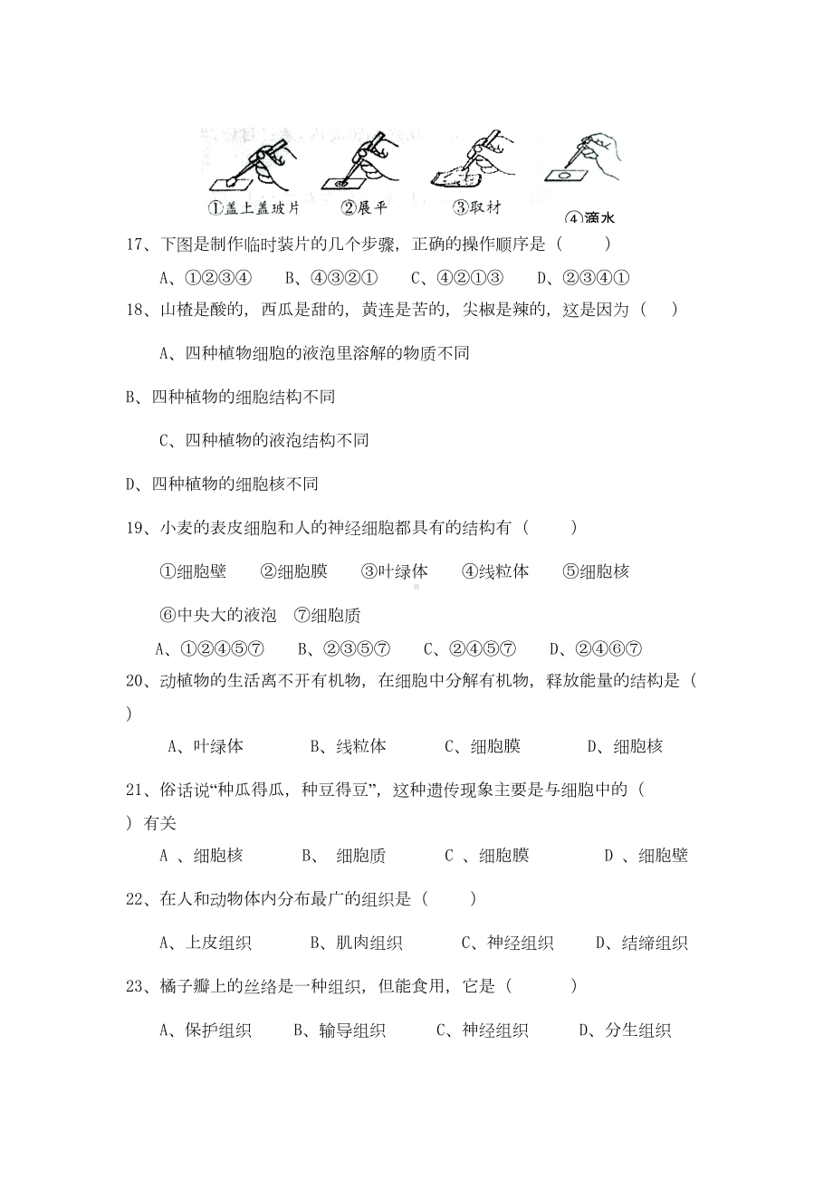 北师大版秋七年级生物上册期中测试题2(DOC 8页).doc_第3页