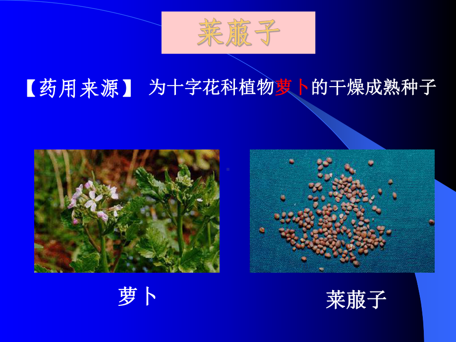 09+消食药教学讲解课件.ppt_第3页