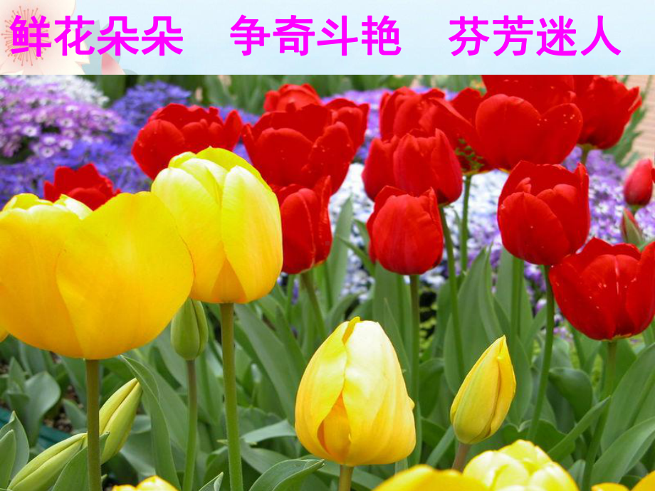 三年级《花钟》第一课时课件.ppt_第3页