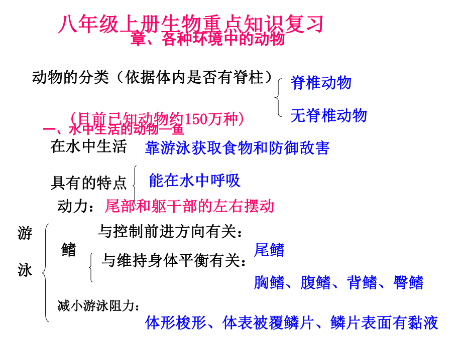 八年级上册生物重点知识复习提纲(新人教完整版)课件.ppt_第1页