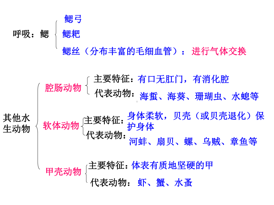 八年级上册生物重点知识复习提纲(新人教完整版)课件.ppt_第2页