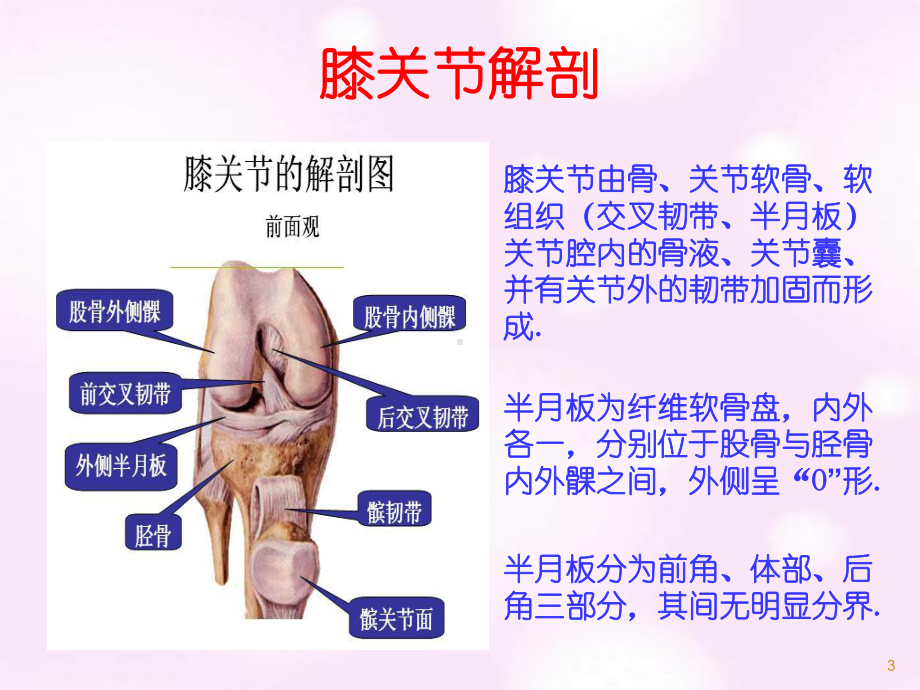 关节镜围手术期护理范课件.ppt_第3页